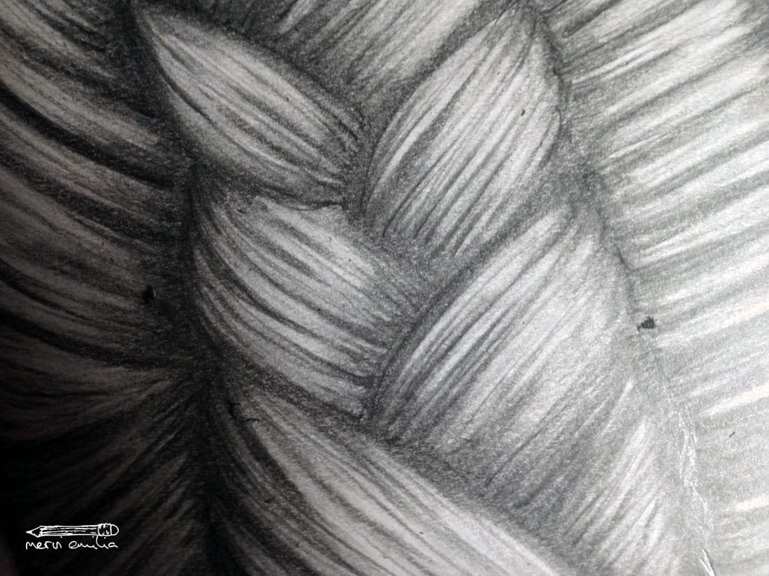 How to draw a braid: Details -- Mervi Emilia