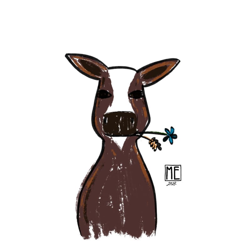 Cow, illustration of a free brown cow looking at you with a grain and a blue flower poking out of the cows mouth by Mervi Emilia Eskelinen